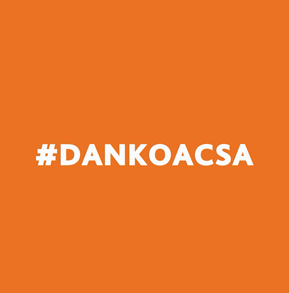 DANKO ACSA case study